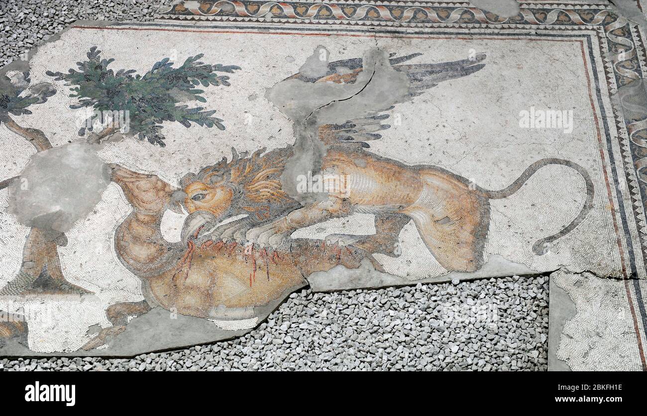 Great Palace of Constantinople (East Roman period). Detail of one of the mosaics that decorated the pavements. Fantastic winged animal attacking a deer. 4th-6th century. Great Palace Mosaics Museum. Istanbul, Turkey. Stock Photo