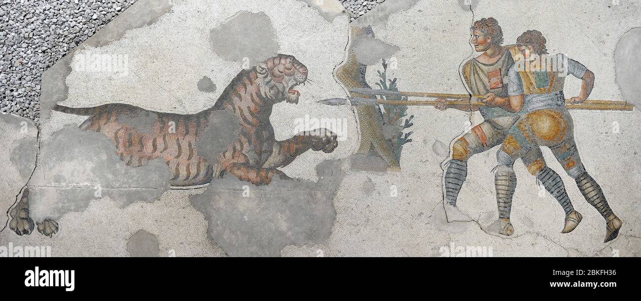 Great Palace of Constantinople (East Roman period). Detail of one of the mosaics that decorated the pavements. Gladiators fighting a tiger. 4th-6th century. Great Palace Mosaics Museum. Istanbul, Turkey. Stock Photo