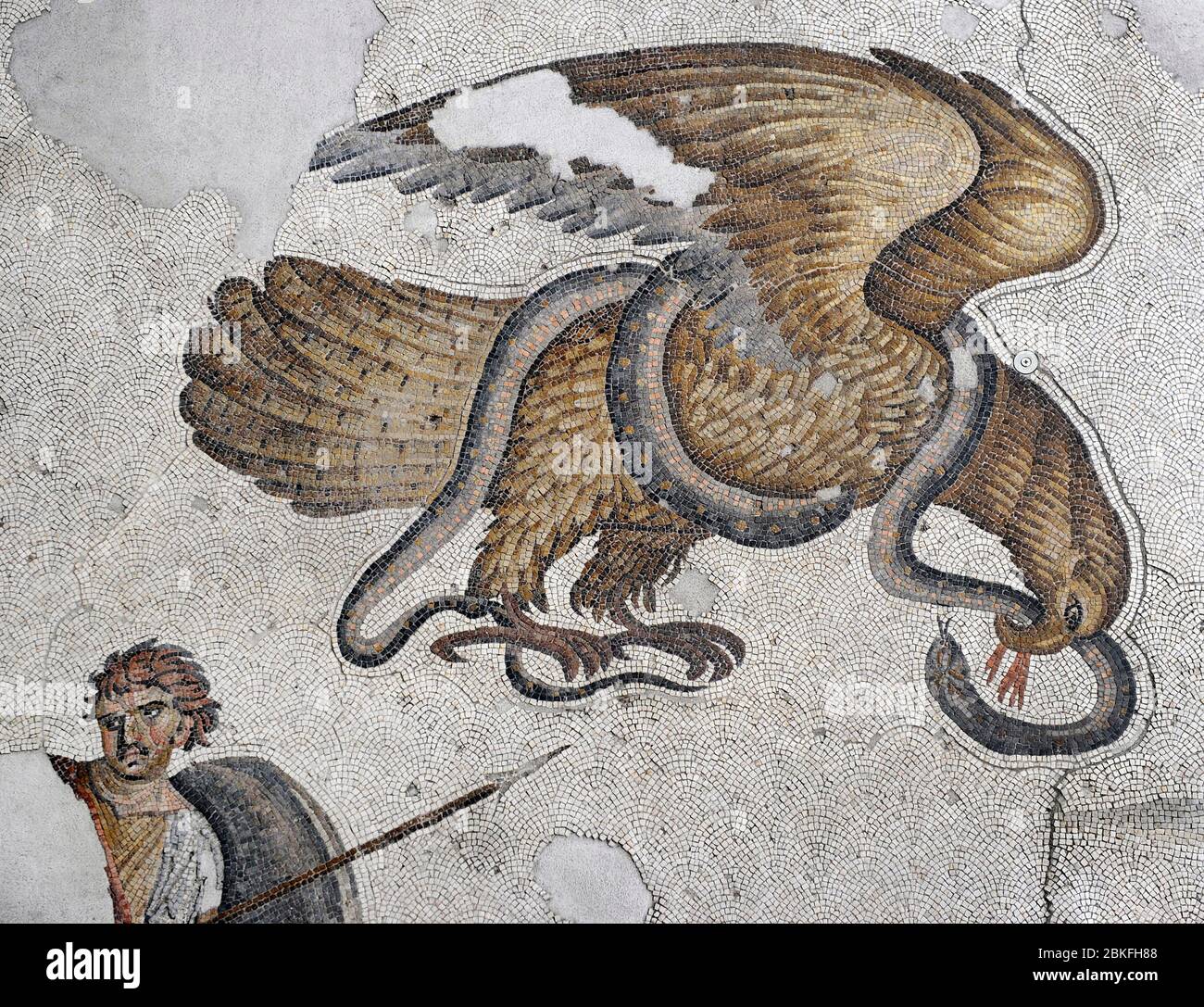Great Palace of Constantinople (East Roman period). Detail of one of the mosaics that decorated the pavements. Fight between eagle and snake. 4th-6th century. Great Palace Mosaics Museum. Istanbul, Turkey. Stock Photo