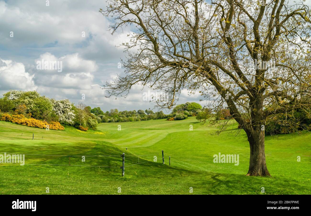 Golf course  in spring now devoid of people due to Corona virus outbreak and following Government decree ordering shut down of sports facilities. Stock Photo