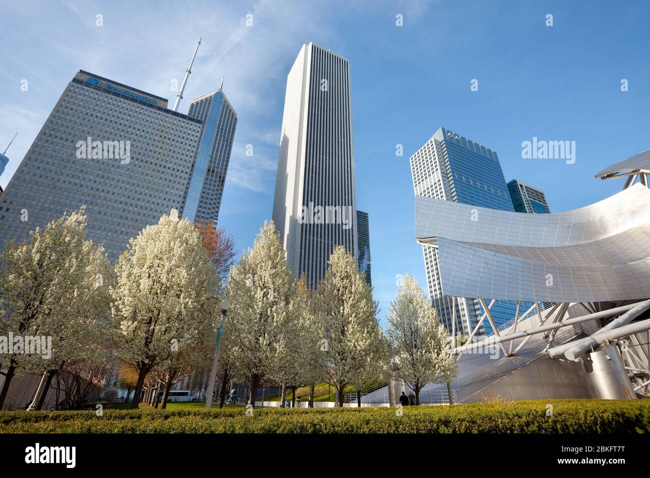 Chicago, Illinois, United States - Downtown skyline from Millennium Park. Stock Photo