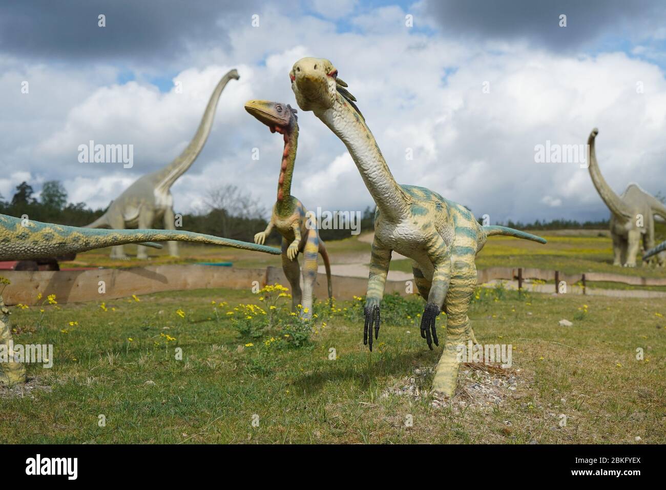 Berlin, Germany. 01st May, 2020. Life-size models of Coelophysis dinosaurs can be found in the Germendorf Animal, Leisure and Prehistoric Park. Due to the corona crisis the park was not open for some time. But in the meantime it is open for visitors again. Credit: Jörg Carstensen/dpa/Alamy Live News Stock Photo