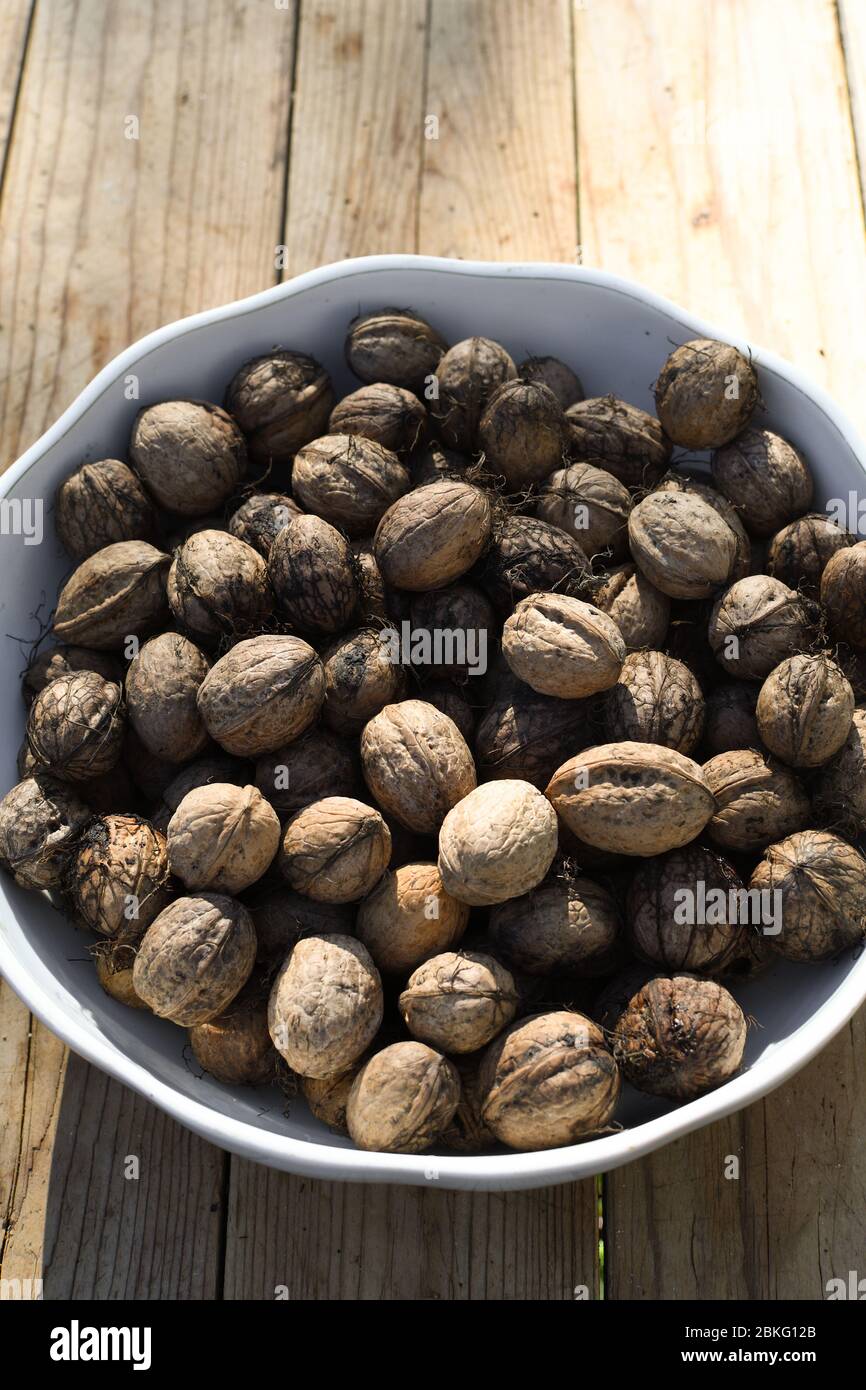 A lot of bio organic bowl with a pile or stack of whole walnuts, for ...