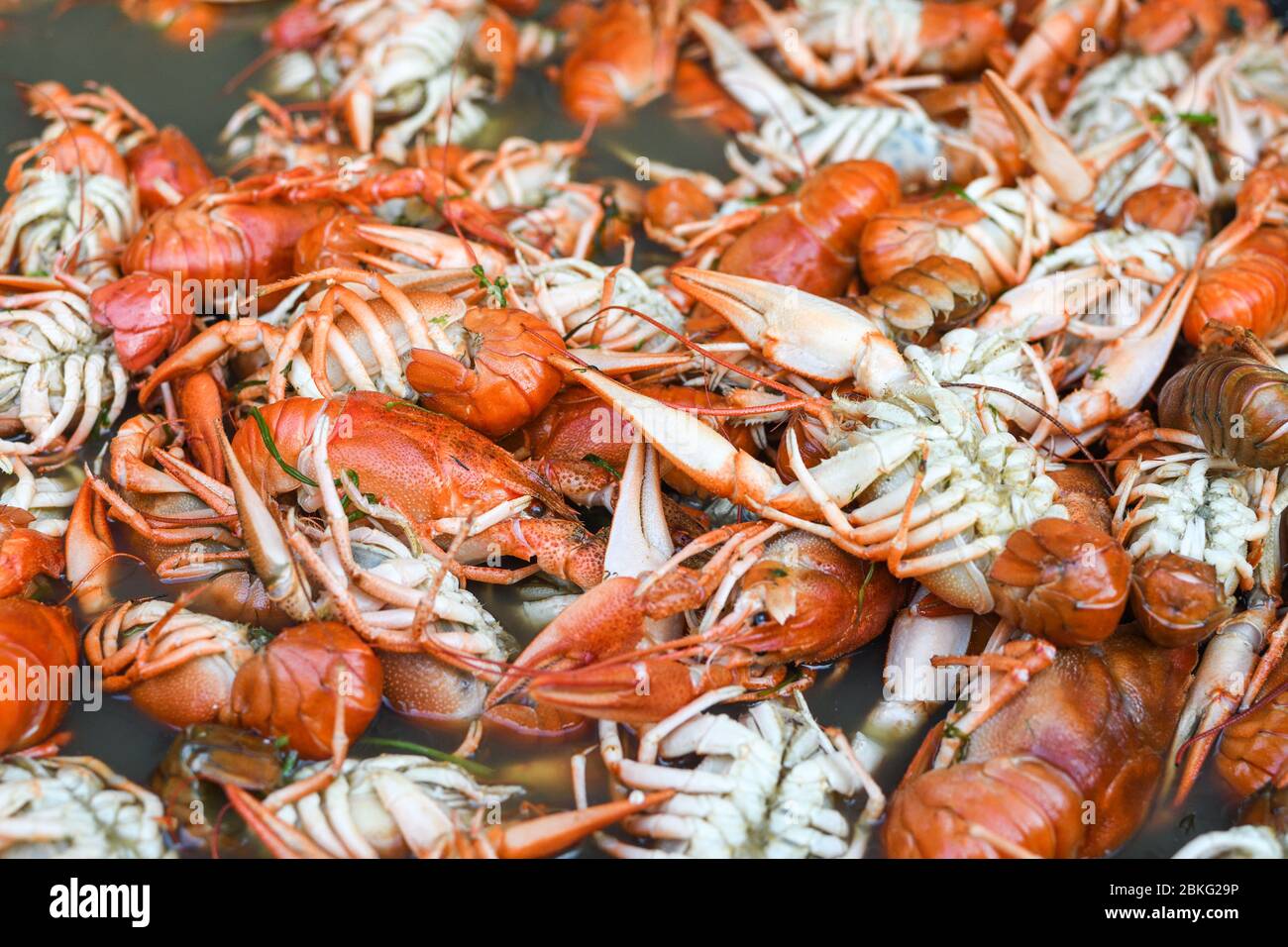 Boiled crawfish, fried crawfish, crawfish étouffée, crawfish