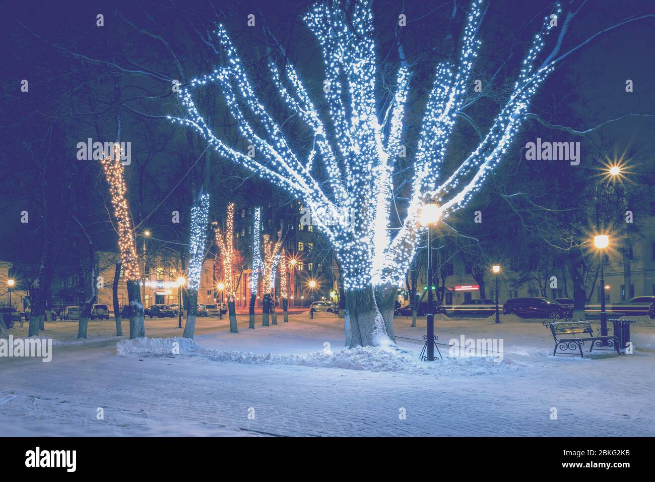 Winter park at night with christmas decorations, lights, bench on a