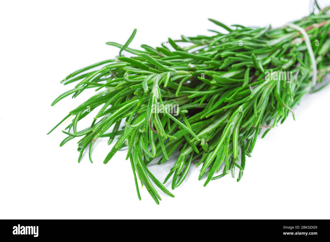 fresh rosemary bunch isolated on white background Stock Photo - Alamy