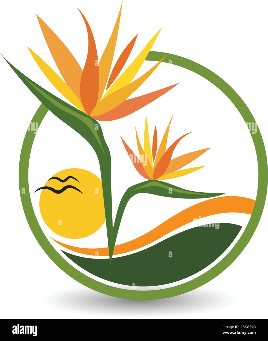 birds of paradise flower logo Stock Vector Image & Art Alamy