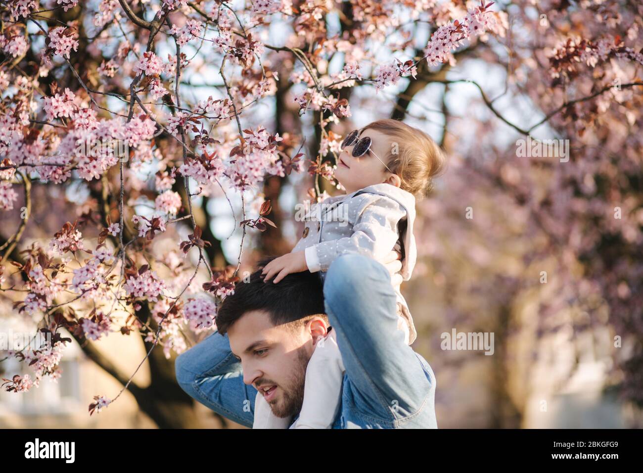 Adorable little daughter sitting on dad's neck and smels pink flowers
