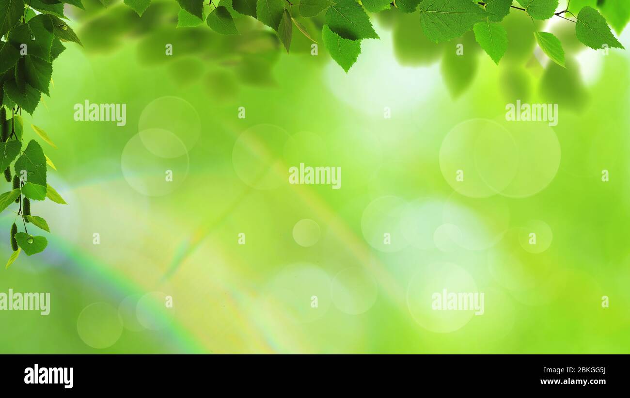Abstract art backgrounds with green foliage. Environmental backgrounds ...