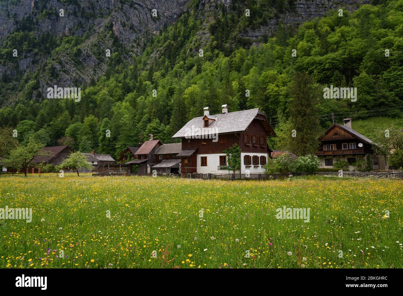 Typical Austrian Alpine houses with bright flowers, Hallstatt, Austria, Europe Stock Photo
