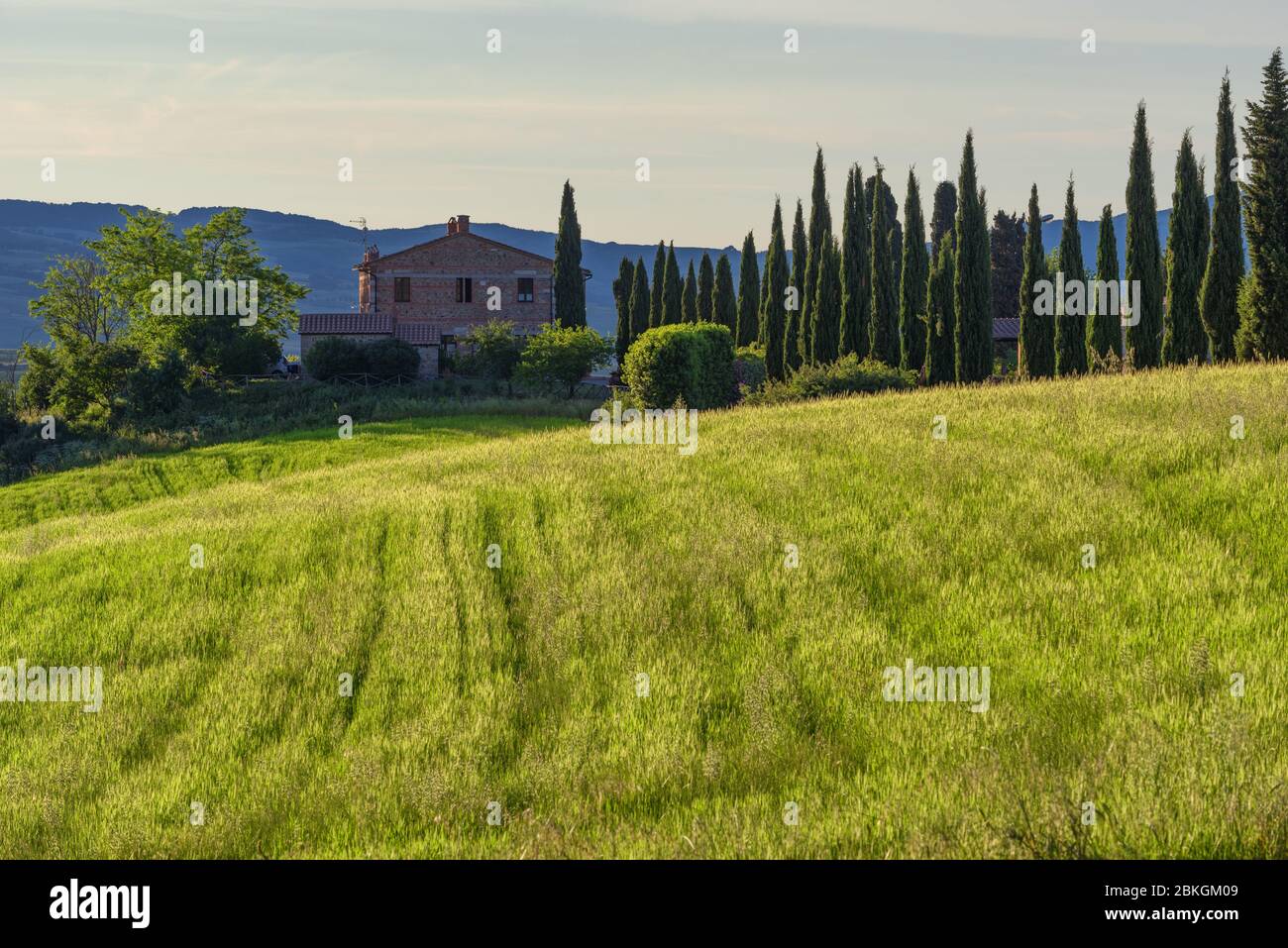 Magnificent spring landscape at sunrise.Beautiful view of typical tuscan farm house, green wave hills, cypresses trees, magical sunlight, beautiful Stock Photo