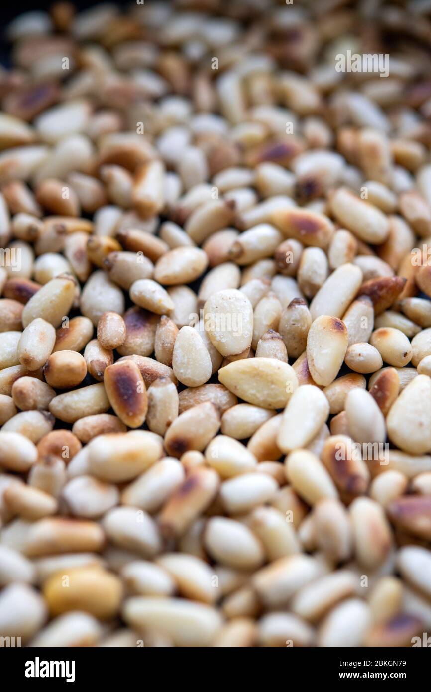 Freshly toasted pine nuts Stock Photo