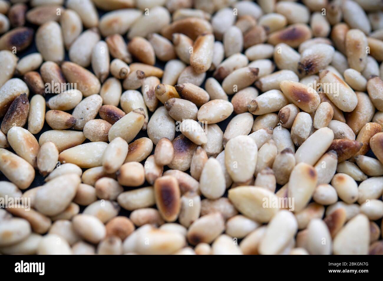 Freshly toasted pine nuts Stock Photo