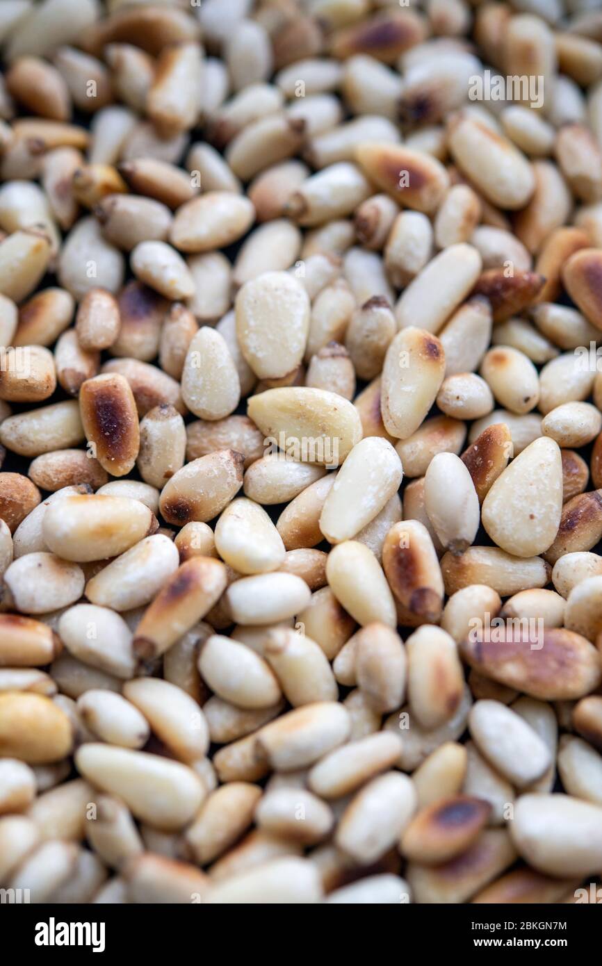 Freshly toasted pine nuts Stock Photo
