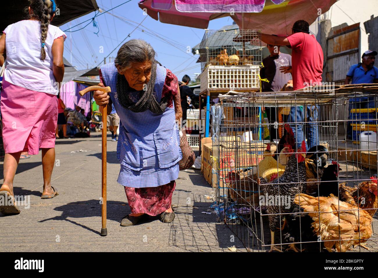 Portrait of an older lady walking with a cane at the street market in Zaachila. Stock Photo