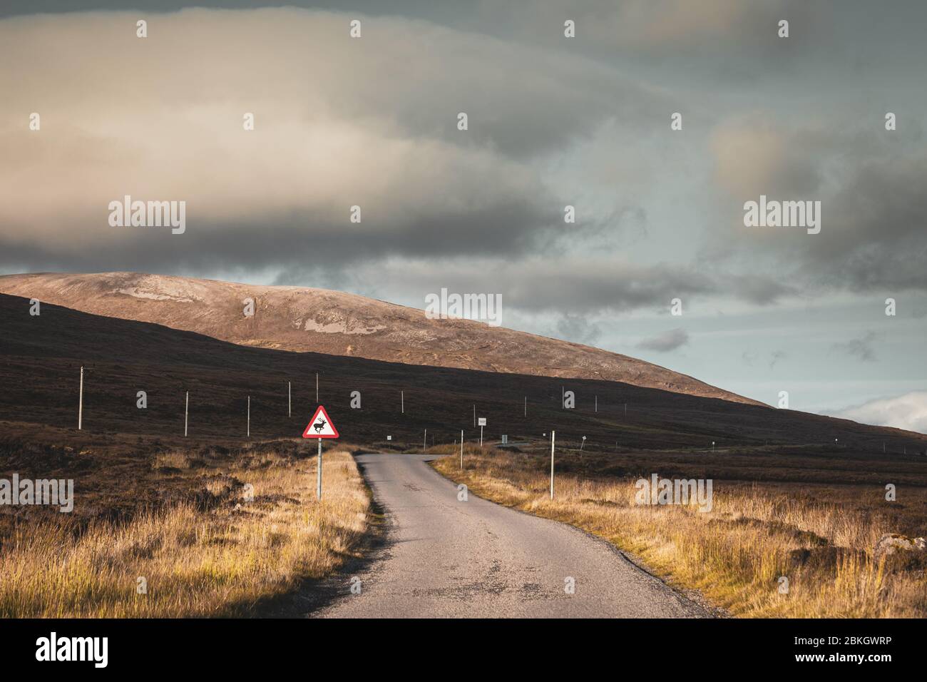 Rural asphalt road across scenic mountains at warm autumnal evening near Corbett in the North West Highlands of Scotland Stock Photo