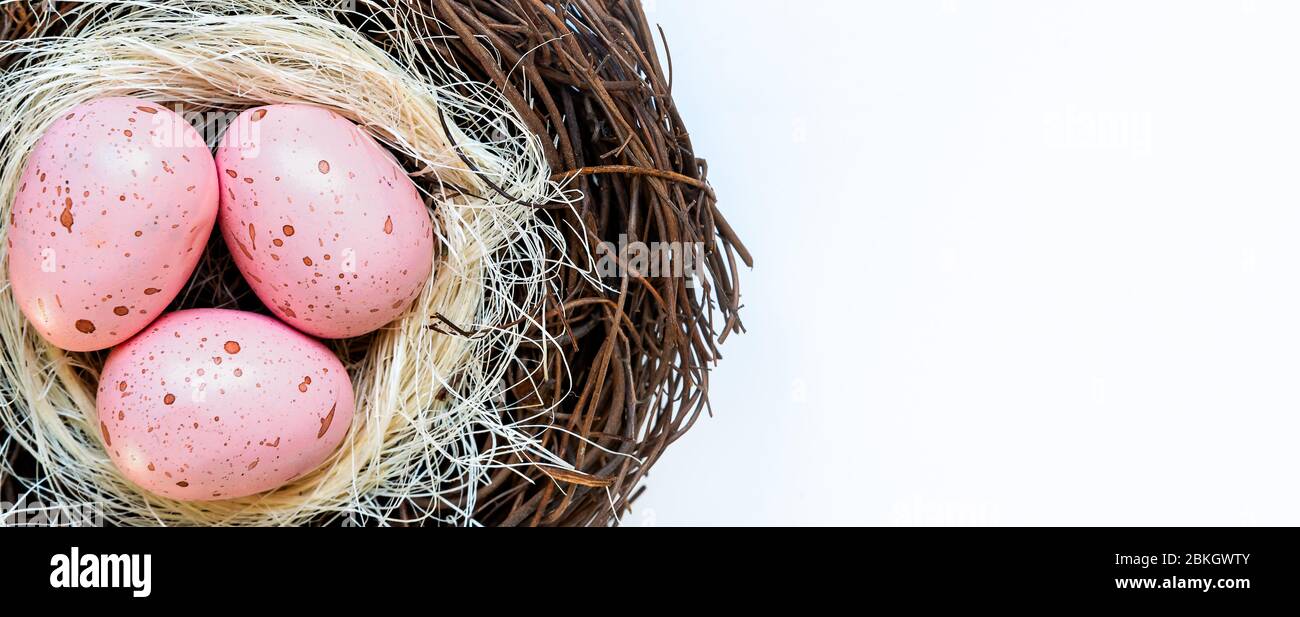 Pink Eggs in Nest Stock Photo