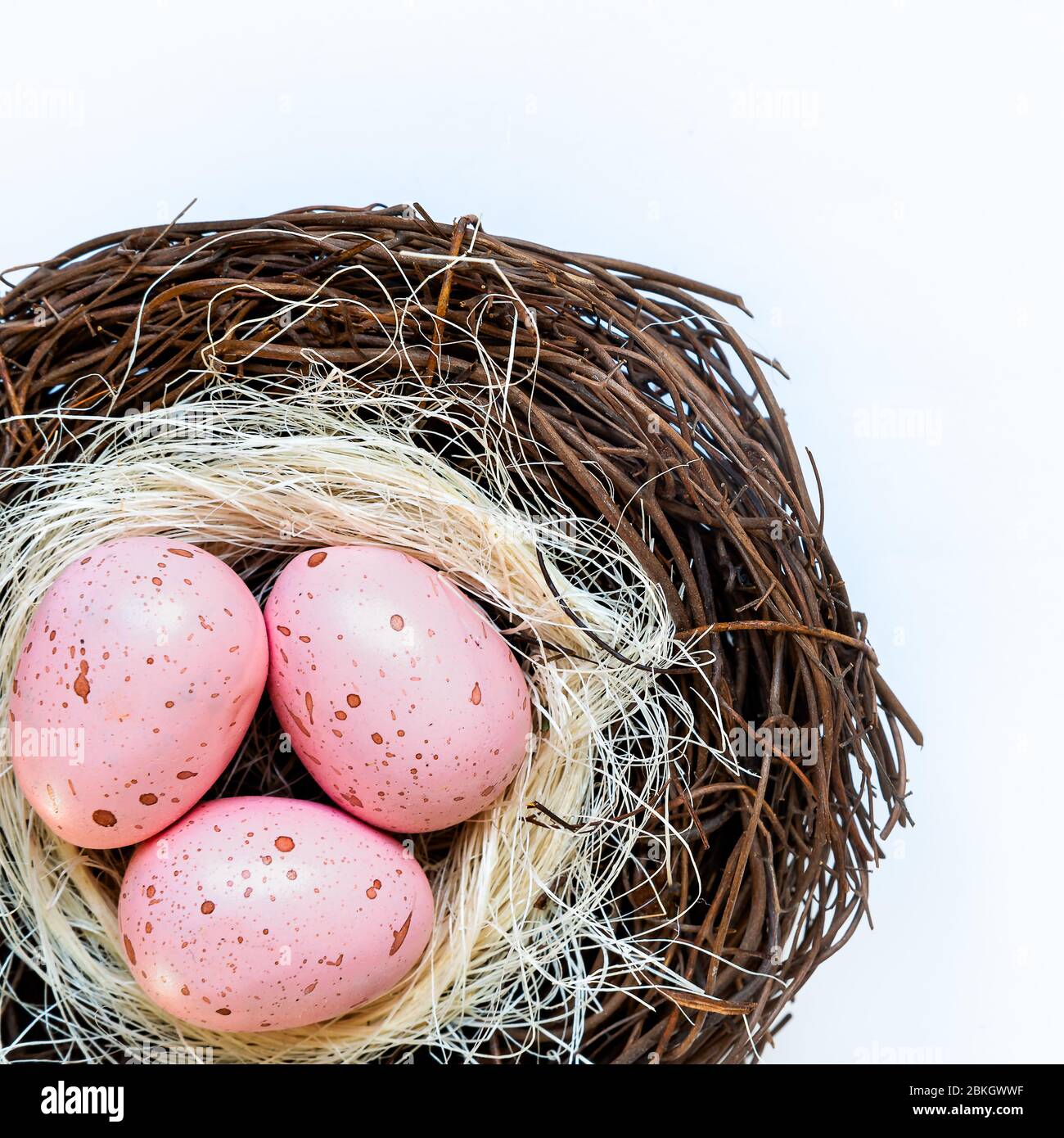 Pink Eggs in Nest Stock Photo Alamy