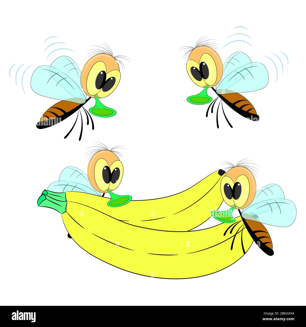 Fruit Fly Clip Art