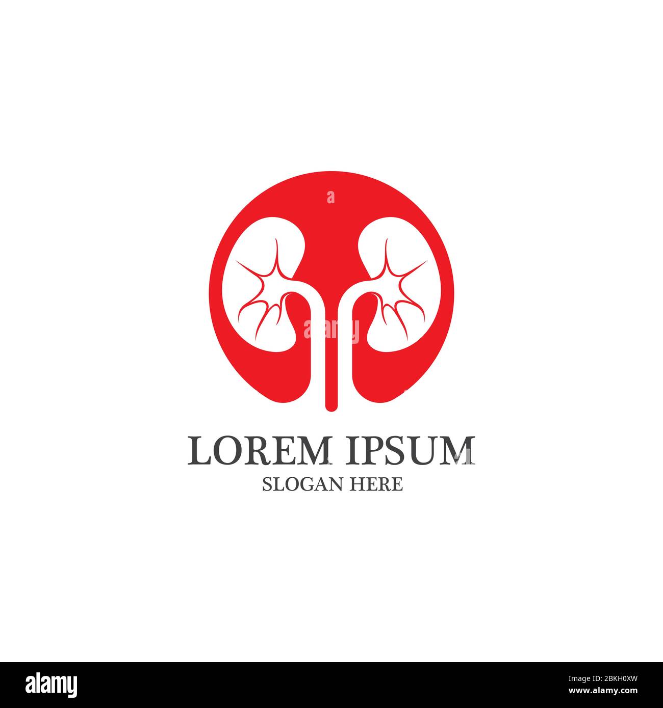 kidney vector illusrtation design logo template Stock Vector