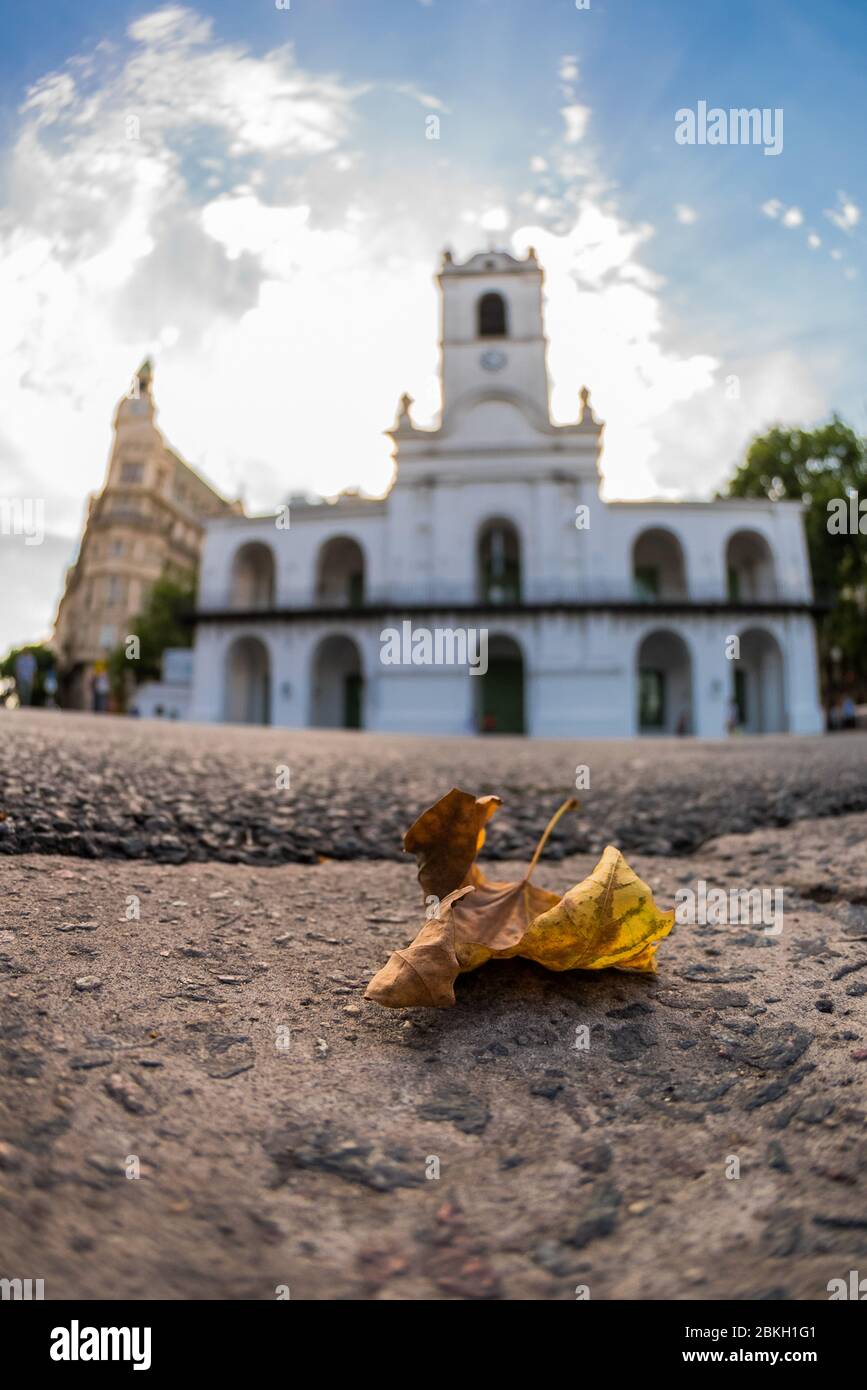 Arch leaf hi-res stock photography and images - Alamy