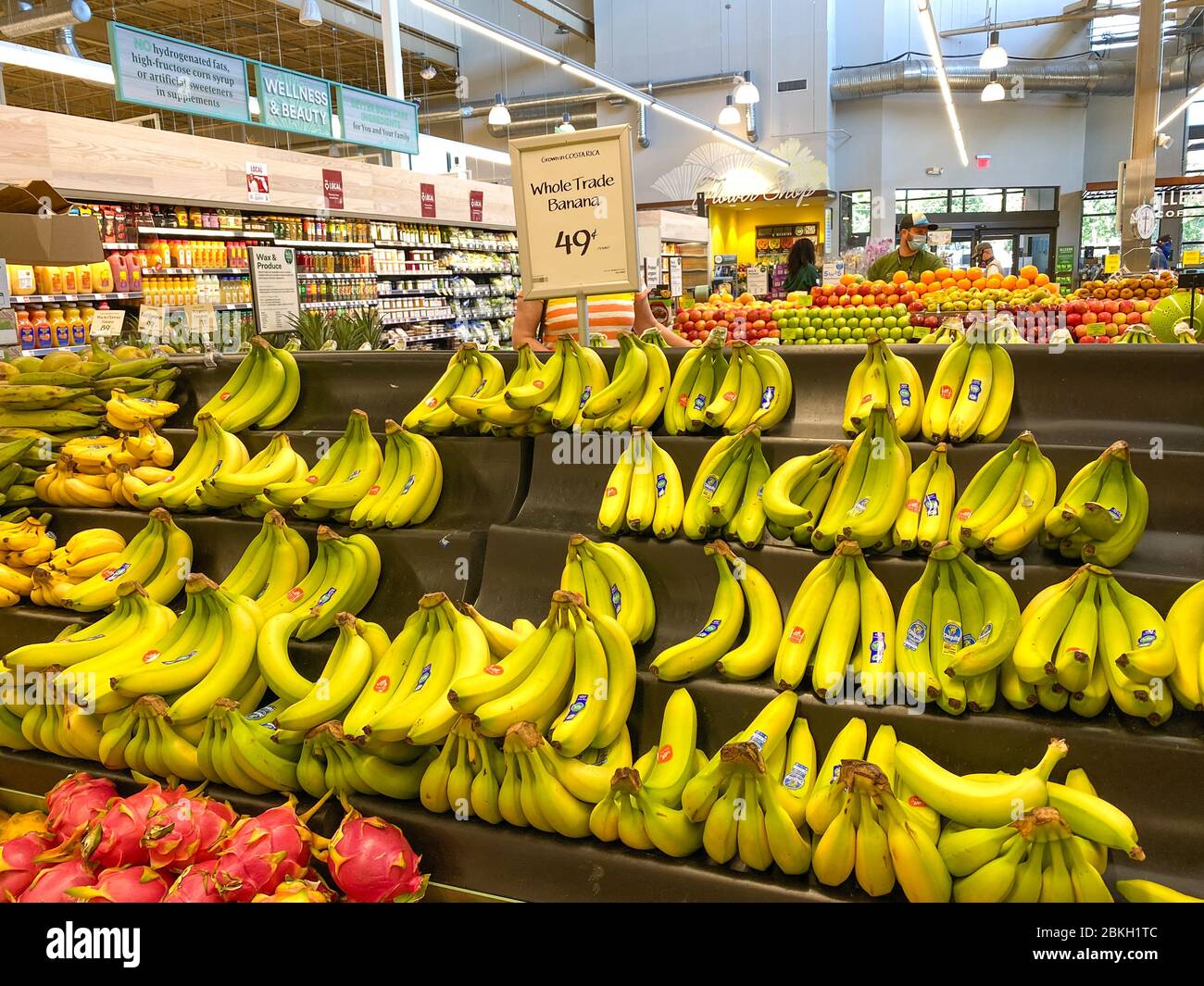 https://c8.alamy.com/comp/2BKH1TC/orlandoflusa-5320-a-display-of-fresh-chiquita-bananas-at-a-whole-foods-grocery-store-2BKH1TC.jpg