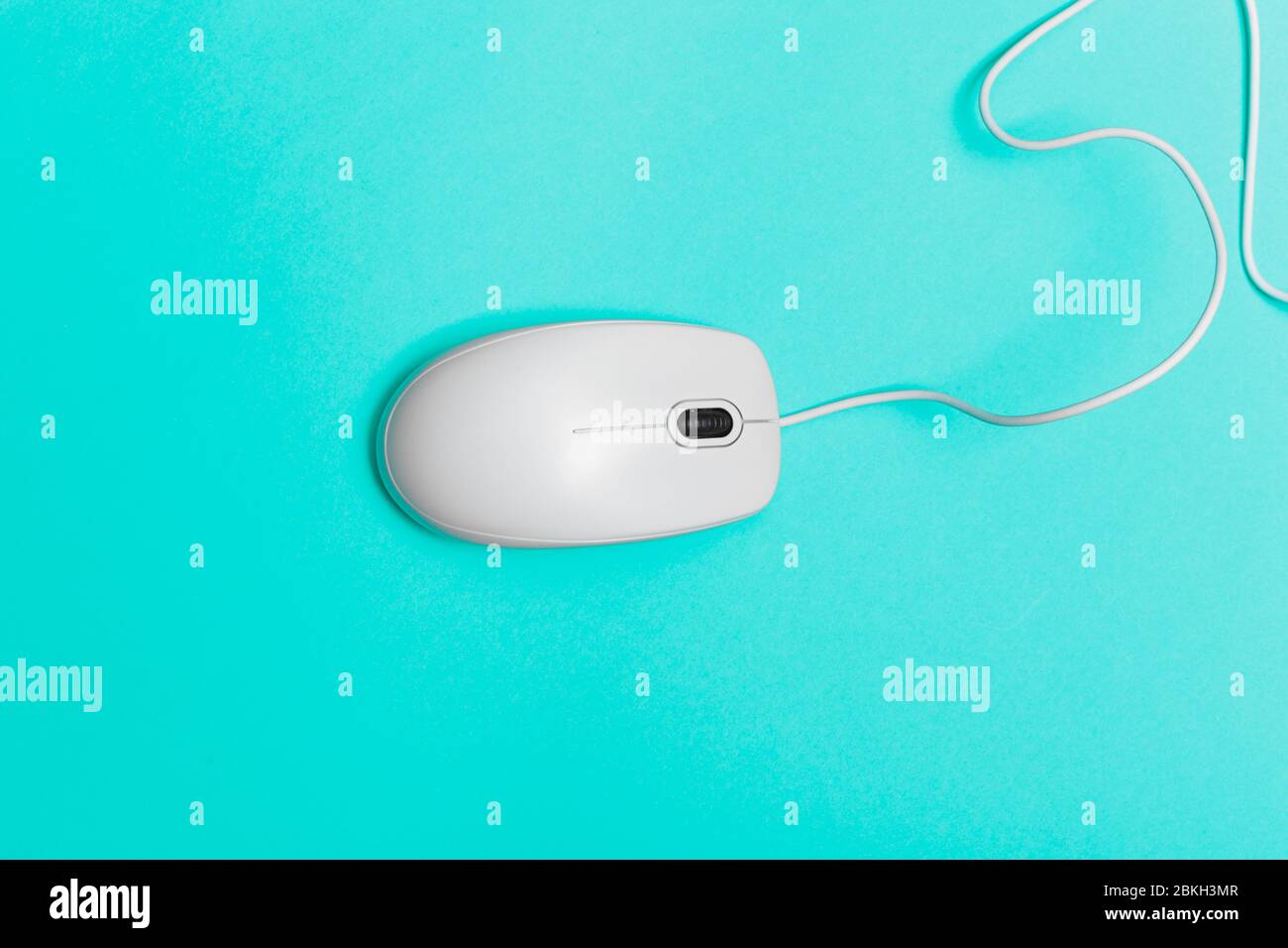 Computer mouse on a turquoise paper background Stock Photo Alamy