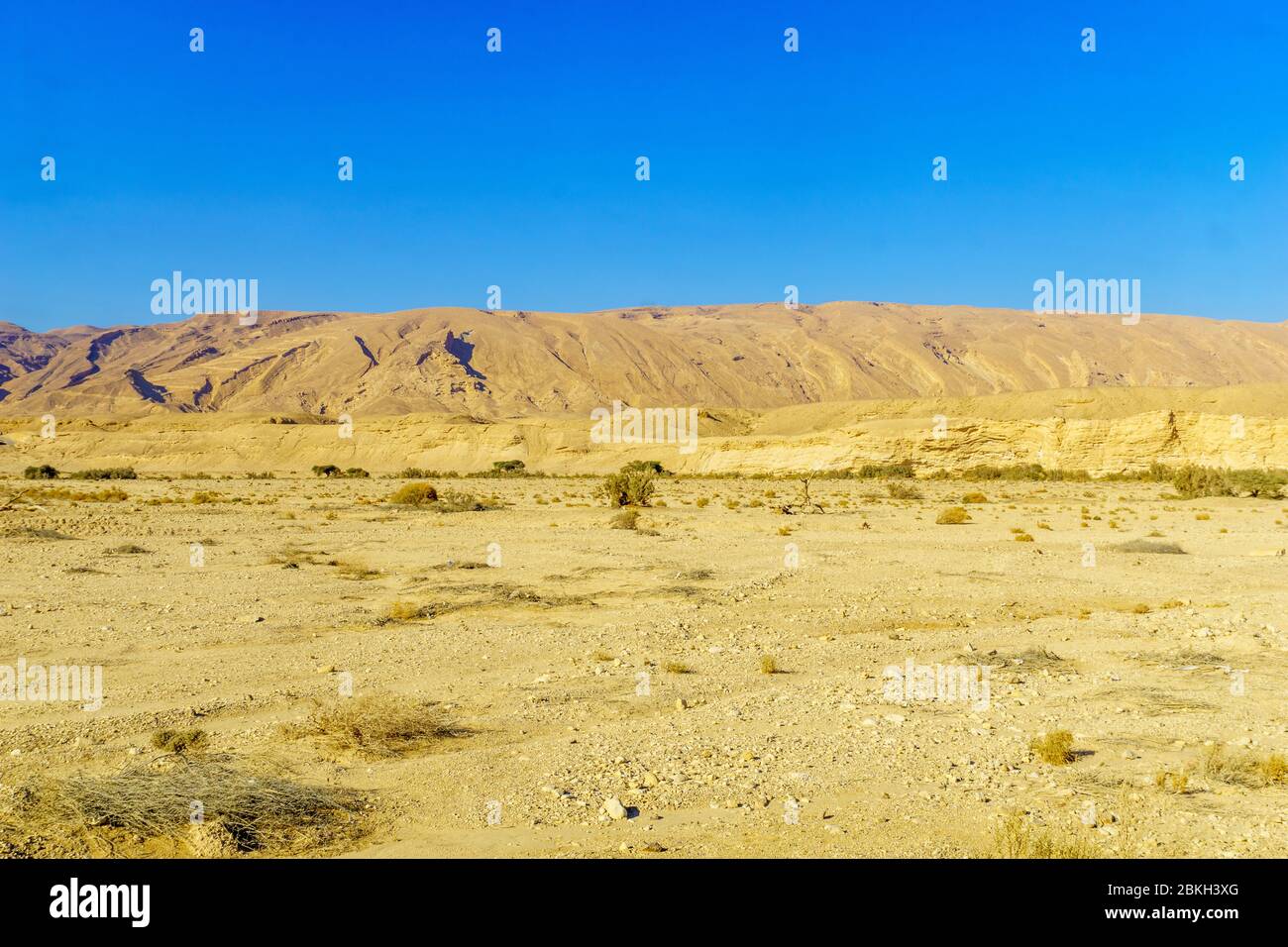 Desert landscape in the northern part of the Arava, Southern Israel Stock Photo