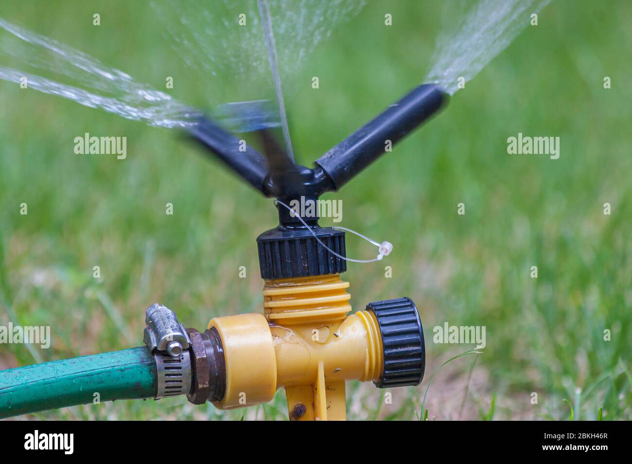 Automatic sprinkler watering the lawn during summertime Stock Photo Alamy