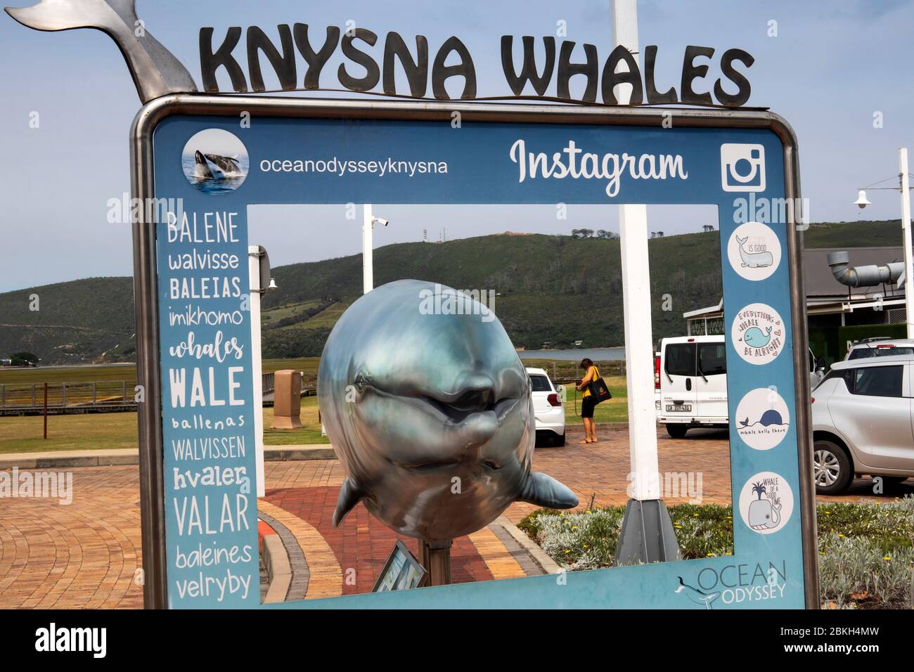 South Africa, Western Cape, Knysna, Thesen’s Island, Harbour Town, Ocean Odyssey whale watching