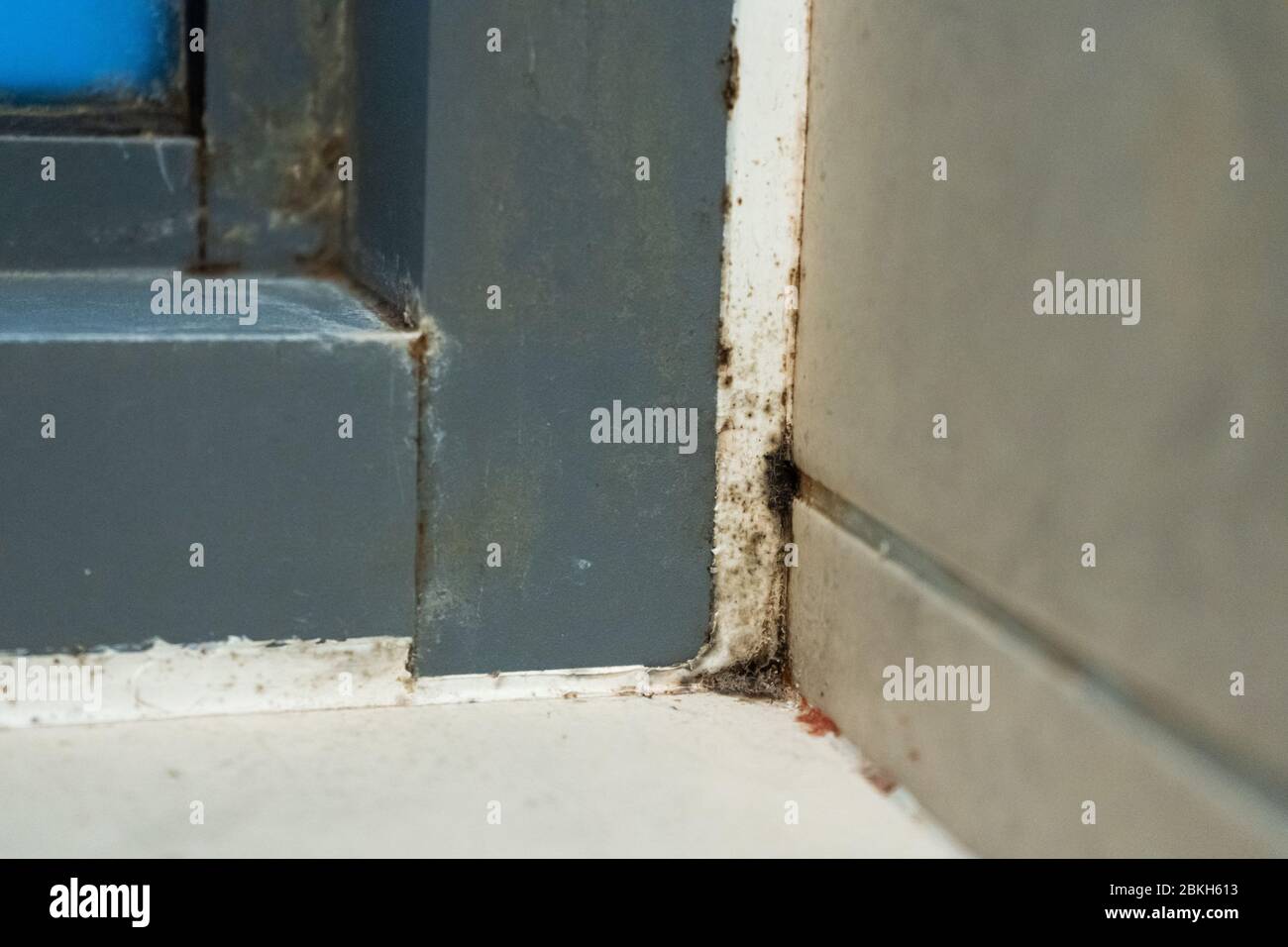 Old plastic window frame in the shower. Moldy angle, fungus. Problem