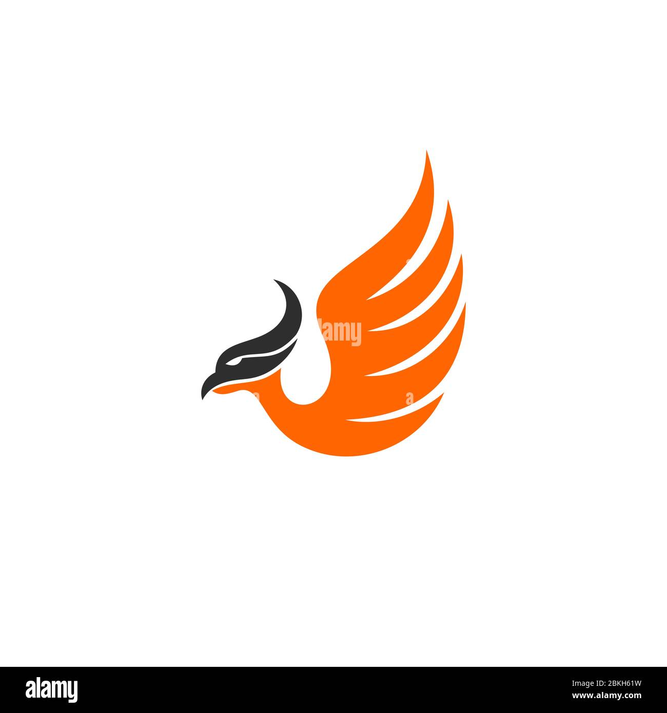 Flying phoenix bird graphic logo design concept template, isolated on white background. Stock Vector