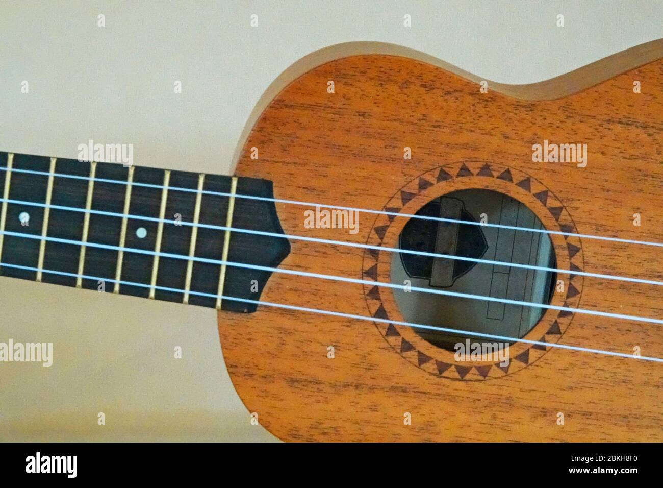 Detail of a professional quality Ukelele, or Ukulele, a musical instrument first developed by the Hawaiians in the 1800s. Stock Photo