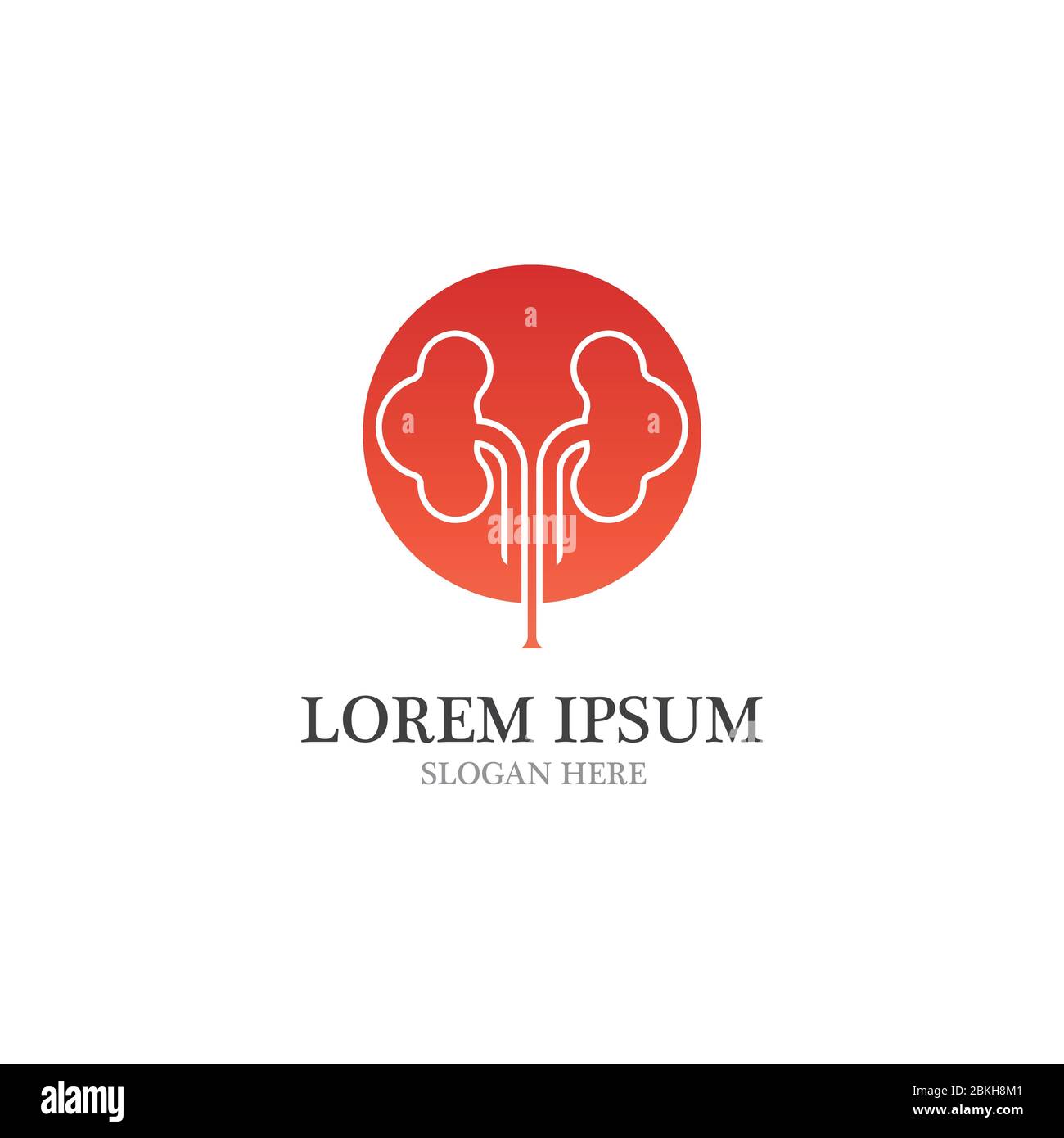kidney vector illusrtation design logo template Stock Vector