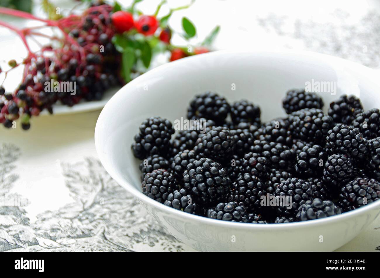 Fresh blackberries in a white bowl. Stock Photo