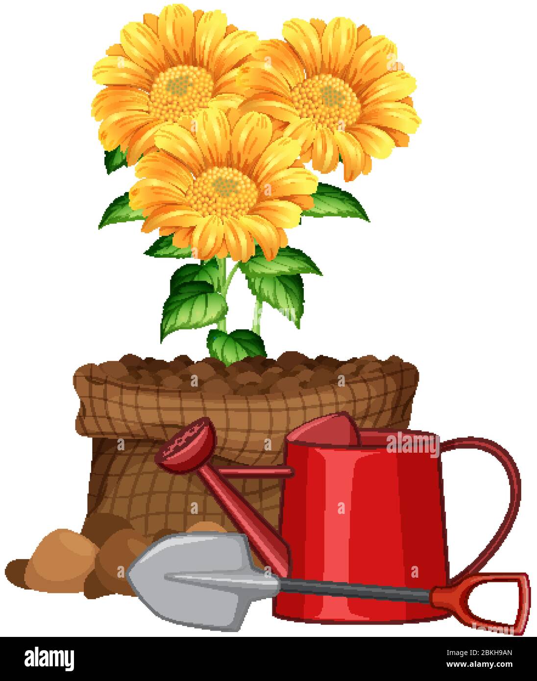 Beautiful flowers in the garden on white background illustration Stock ...
