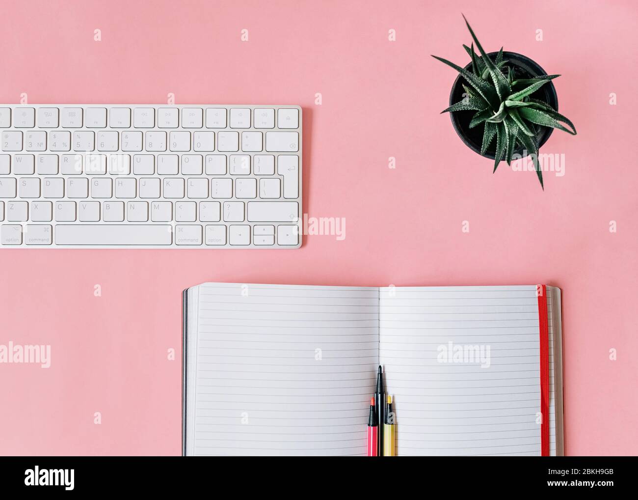 Office desk Top view photo with copy space Notebook with marker, keyboard and evergreen plant on pink background Stock Photo