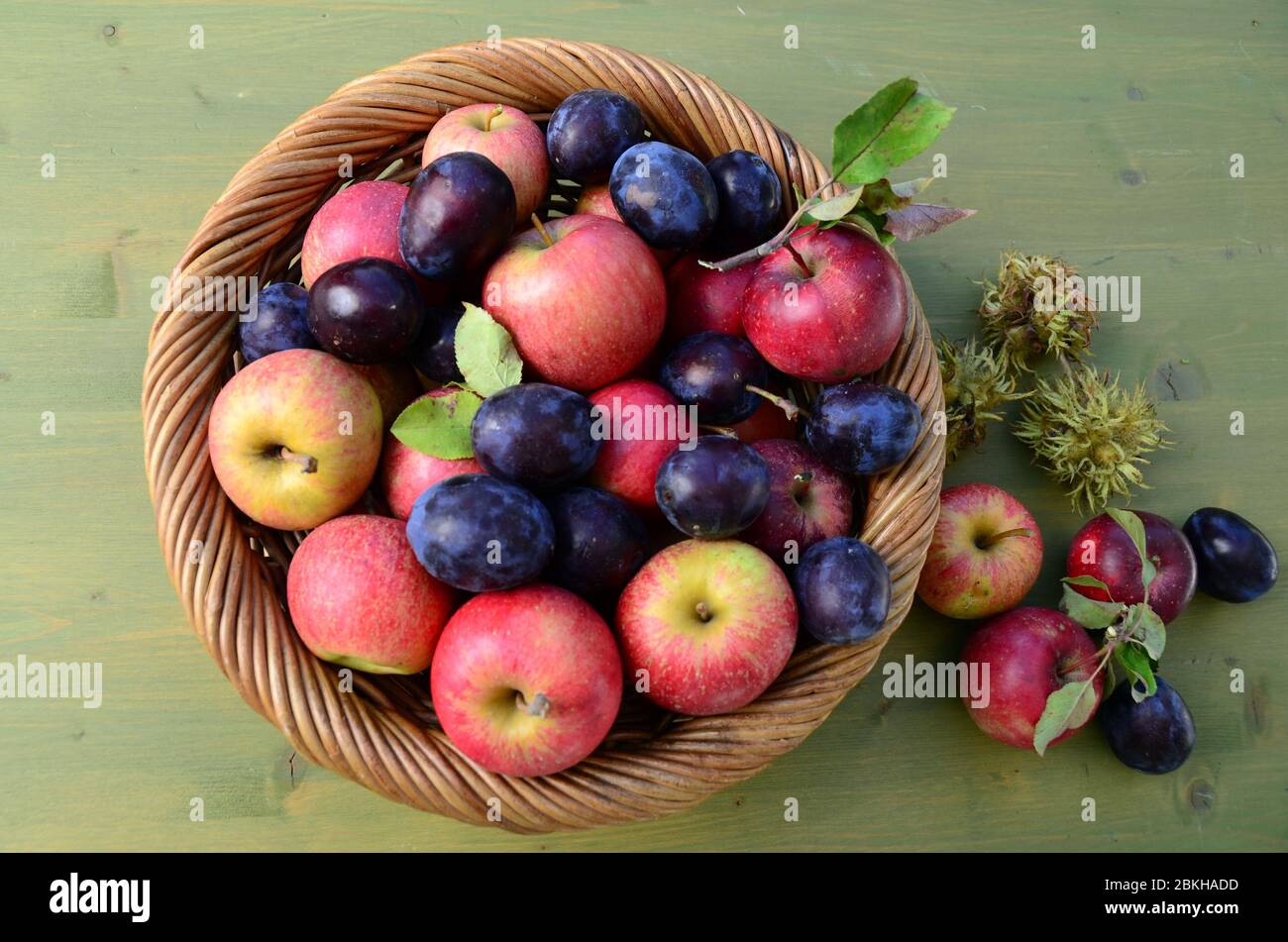 Basket with freshly harvested apples and plums. Stock Photo