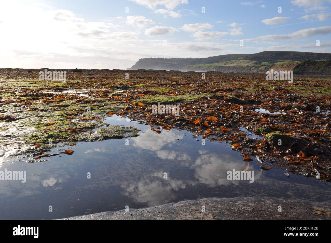 Rockpools and seaweed at Robin Hood's Bay on the coast of North Yorkshire, England. Part of the Heritage Coast of the North Yorkshire Moors Stock Photo