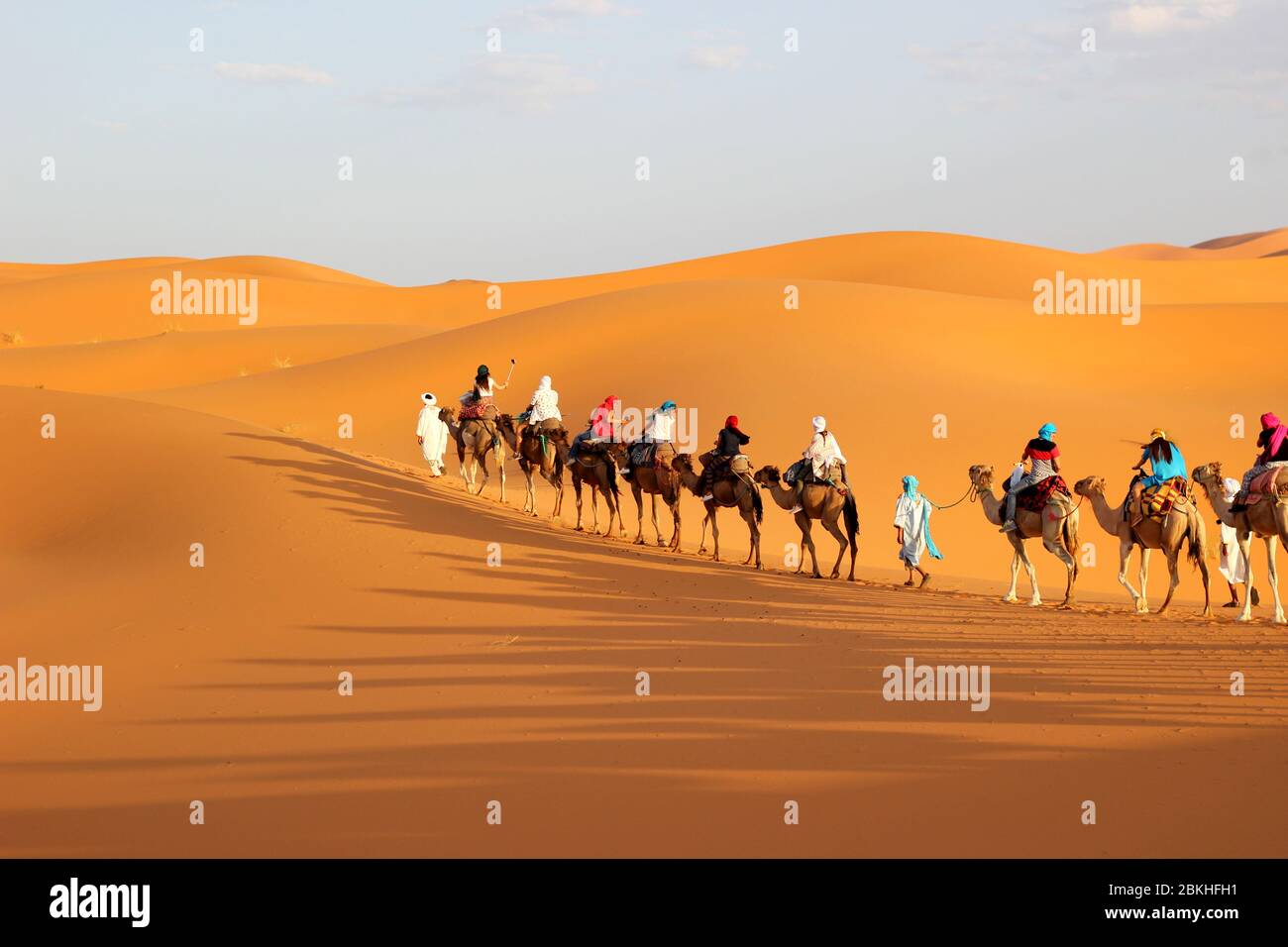 Dromedaries and people during a caravan on the Erg Chebbi dunes (Morocco). Stock Photo
