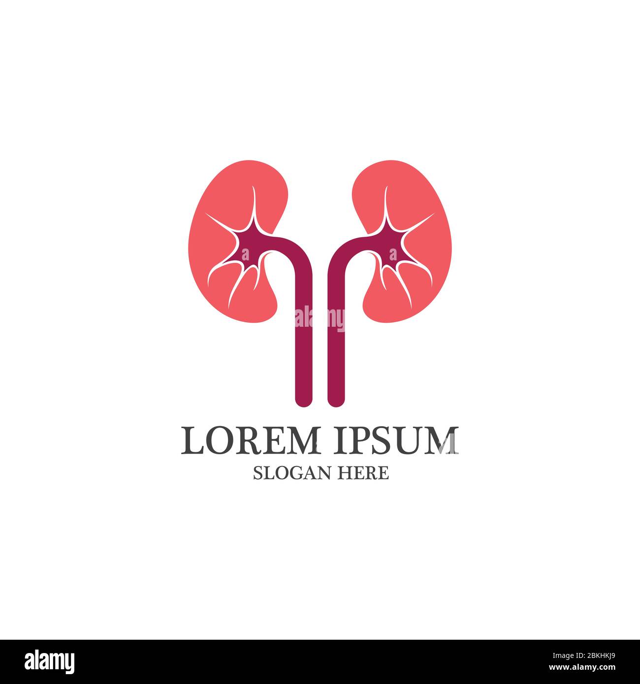 kidney vector illusrtation design logo template Stock Vector Image ...