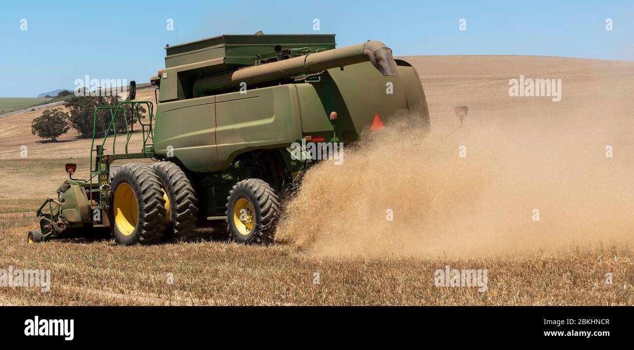 Caledon, Western Cape, South Africa. 2019. Combine harvester working in the wheatlands close to Caledon, South Africa. Stock Photo