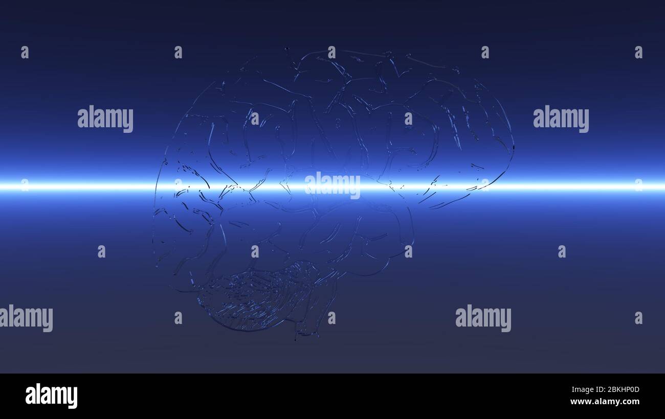 3D Illustration of a Human Brain Stock Photo - Alamy