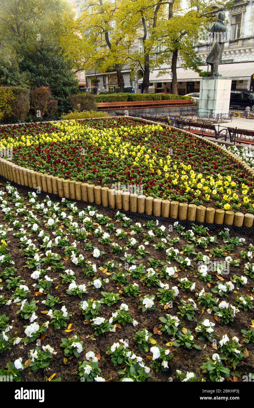 Downtown Budapest (Pest)- flower display on Liszt Ferenc Ter, Budapest, Central Hungary, Hungary Stock Photo