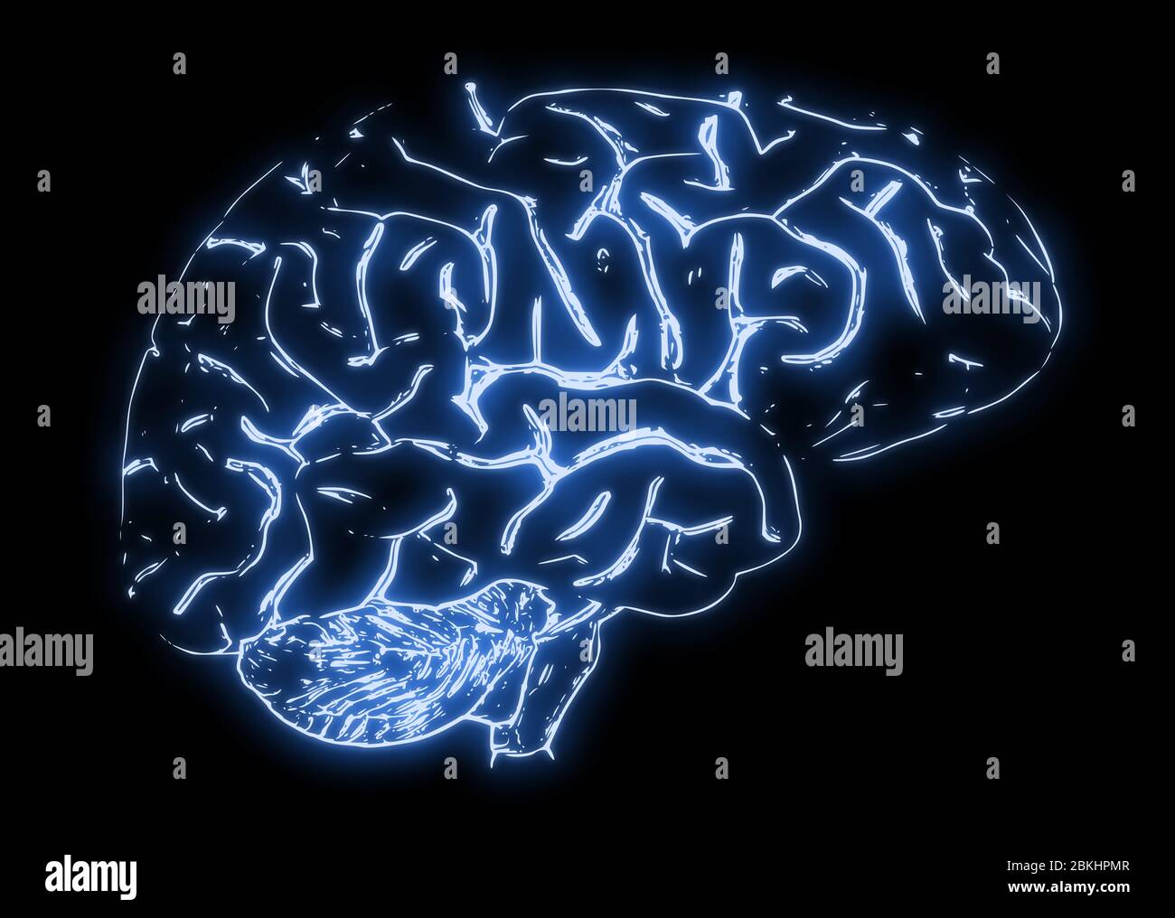 Illustration of a Human Brain Stock Photo - Alamy