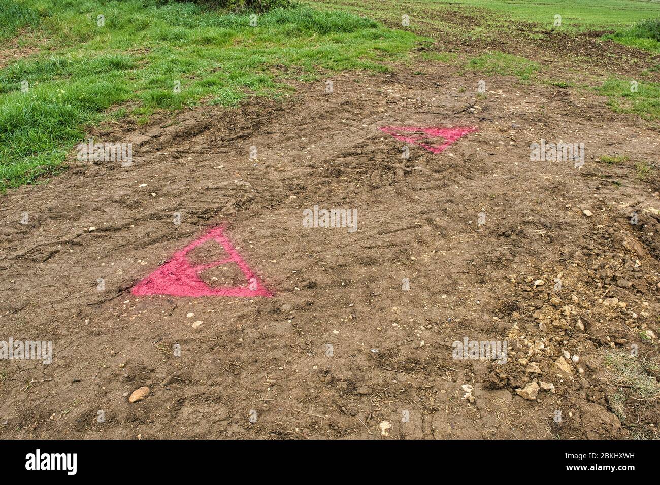 Ground reference markers painted in high visibility pink paint in readiness for an aerial survey for a utility company Stock Photo
