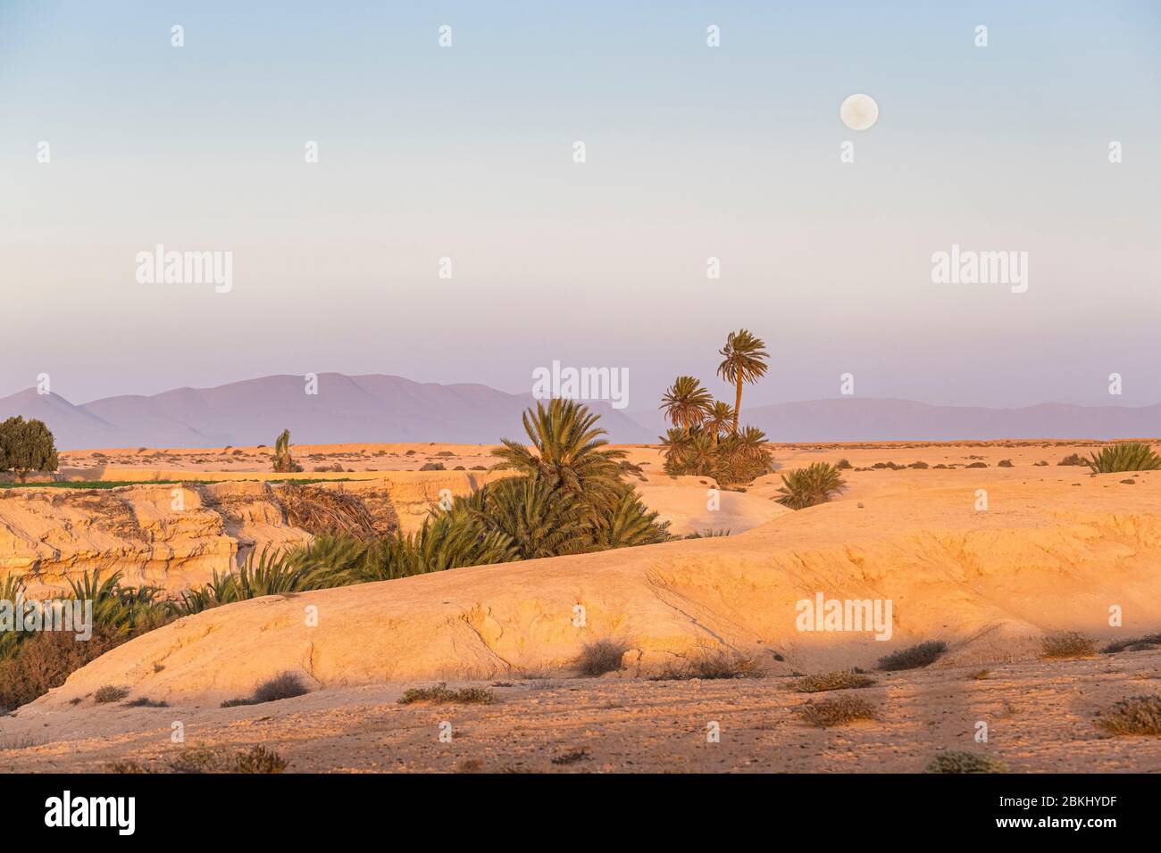 Morocco, Guelmim-Oued Noun region, Asrir rural hamlet, Tighmert oasis Stock Photo