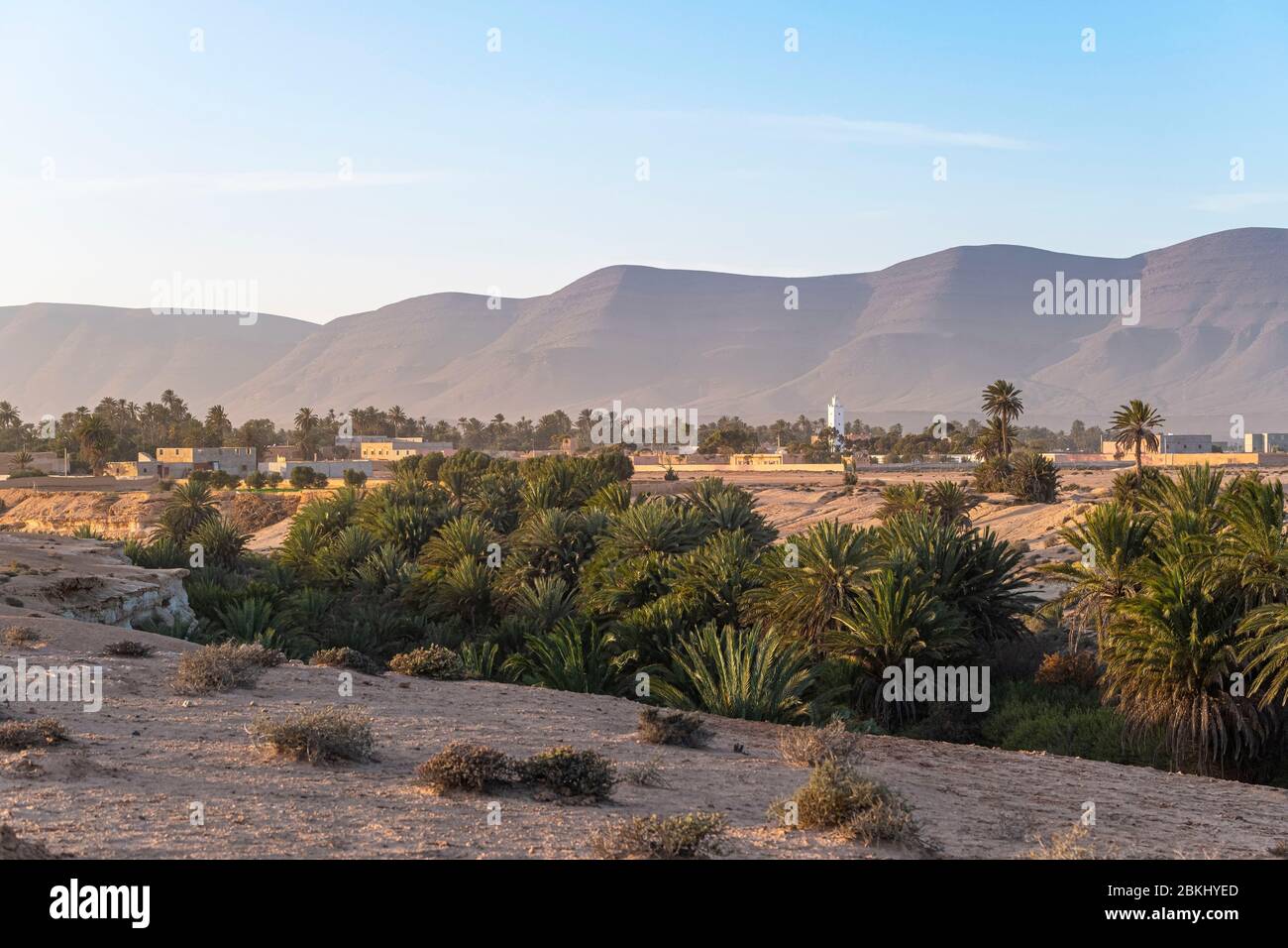 Morocco, Guelmim-Oued Noun region, Asrir rural hamlet, Tighmert oasis Stock Photo