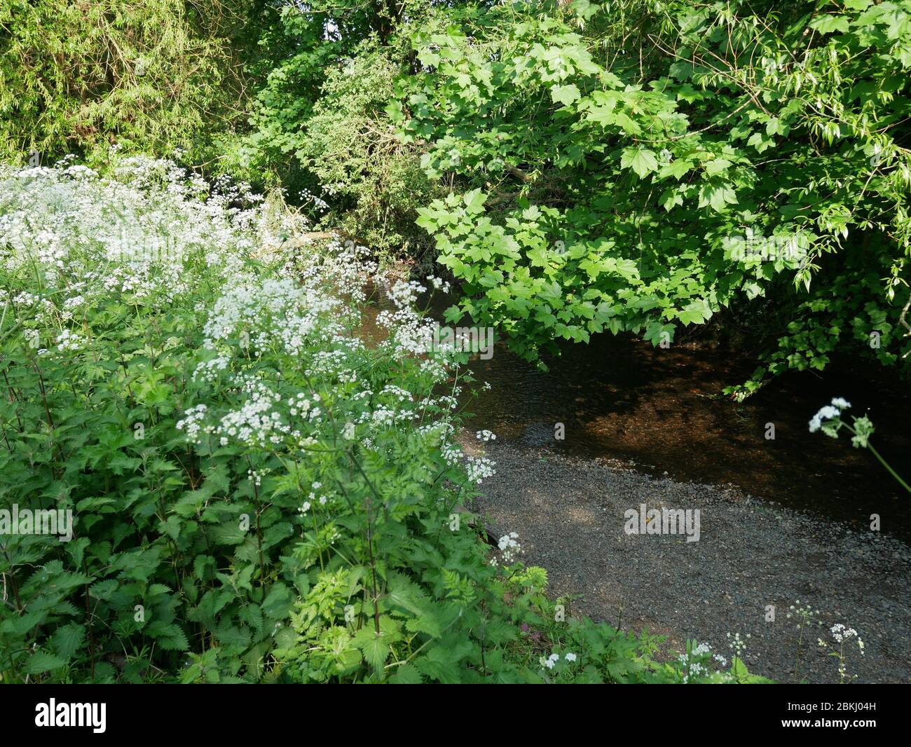 The River Pool, in Kent and South East London, England Stock Photo