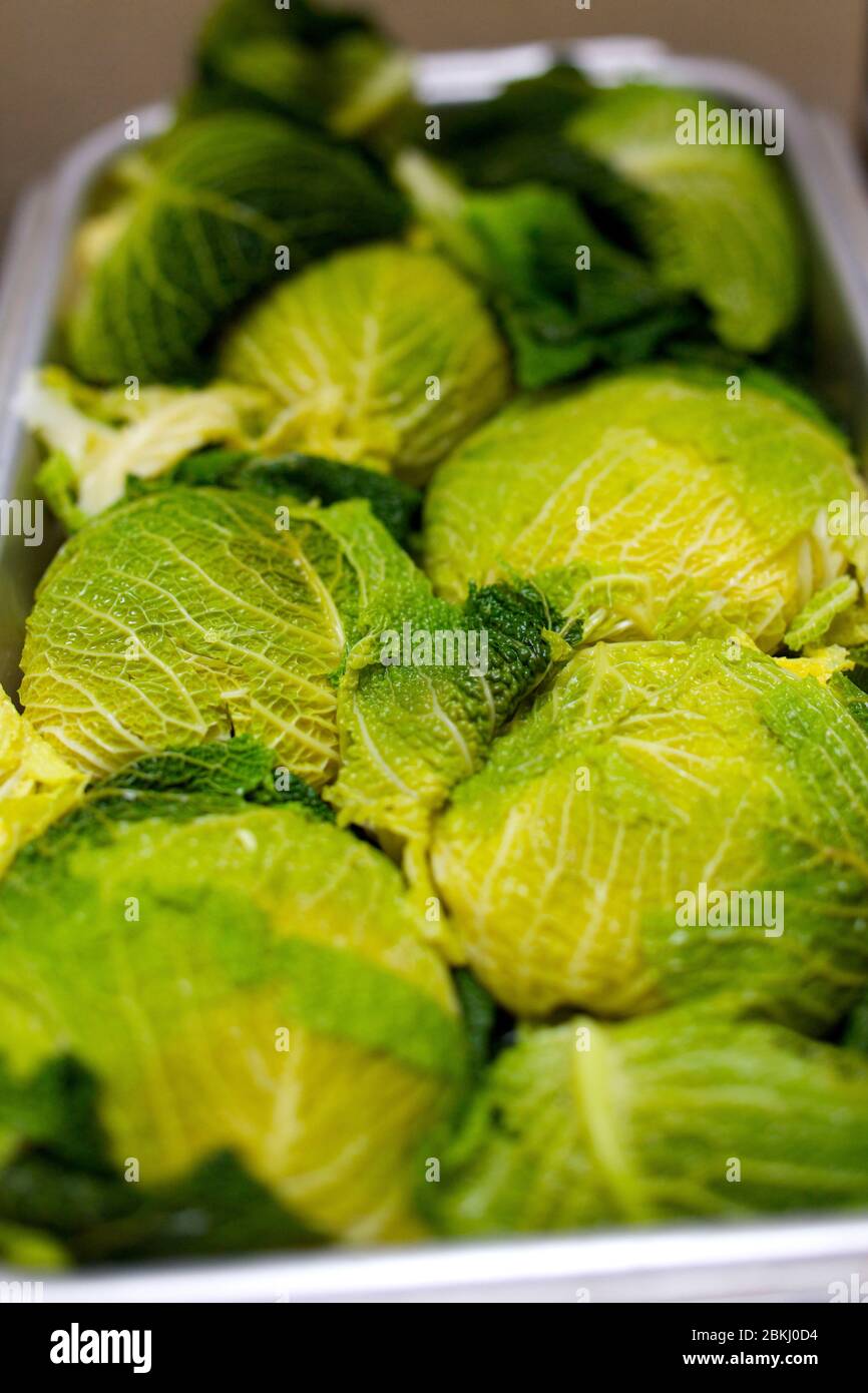 Stuffed cabbage france hires stock photography and images Alamy